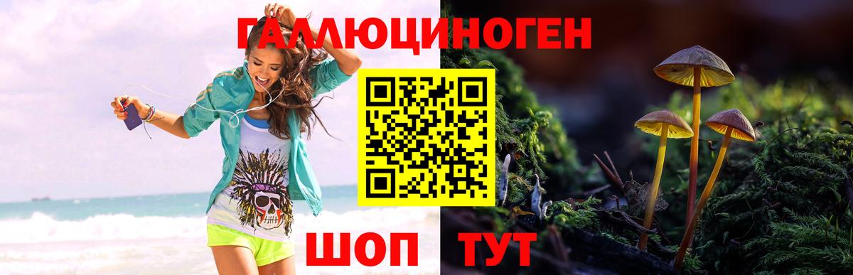 Псилоцибиновые грибы Psilocybine cubensis Феодосия